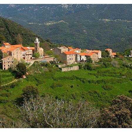 Casadimela Villa Porto-Vecchio  Bagian luar foto