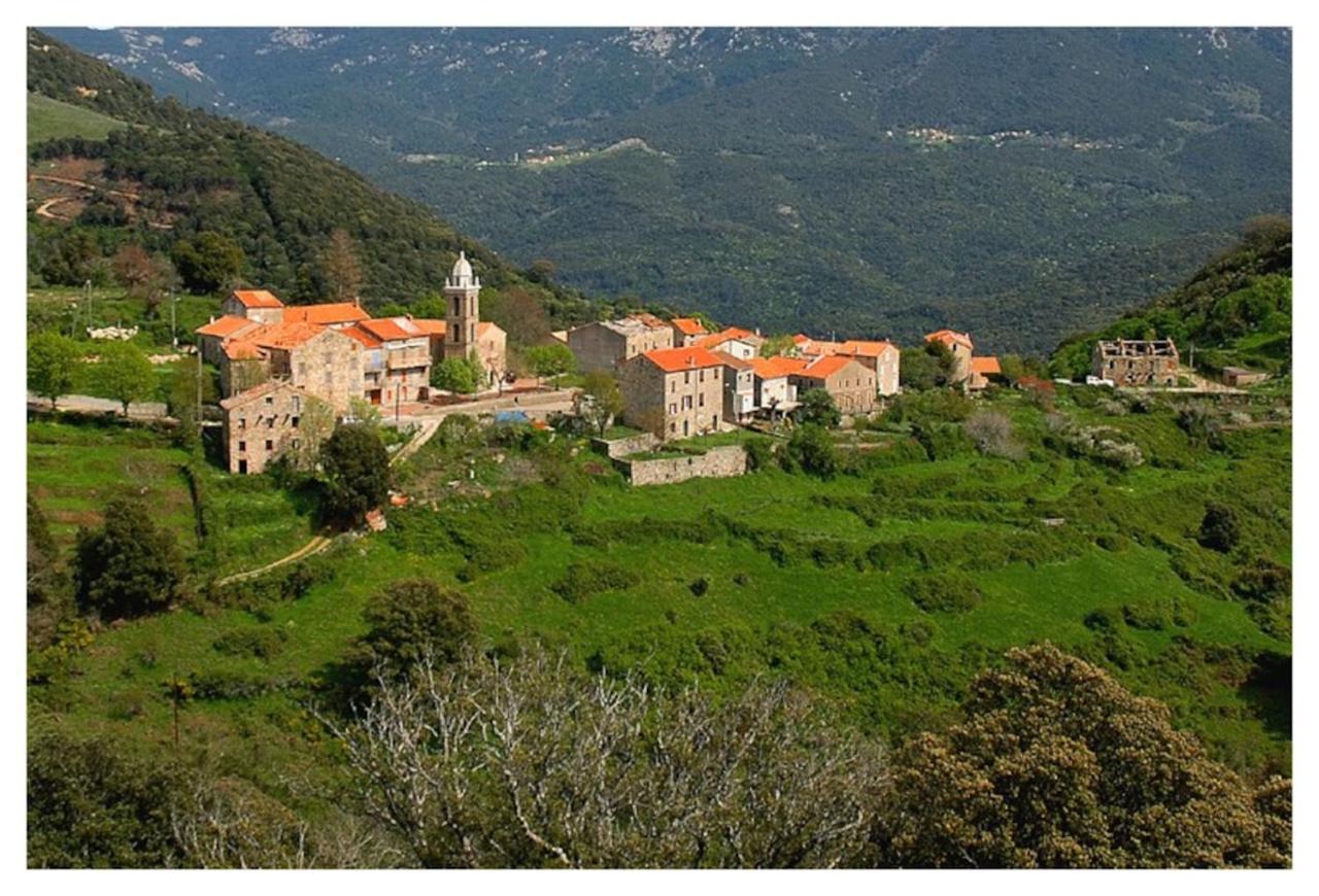 Casadimela Villa Porto-Vecchio  Bagian luar foto